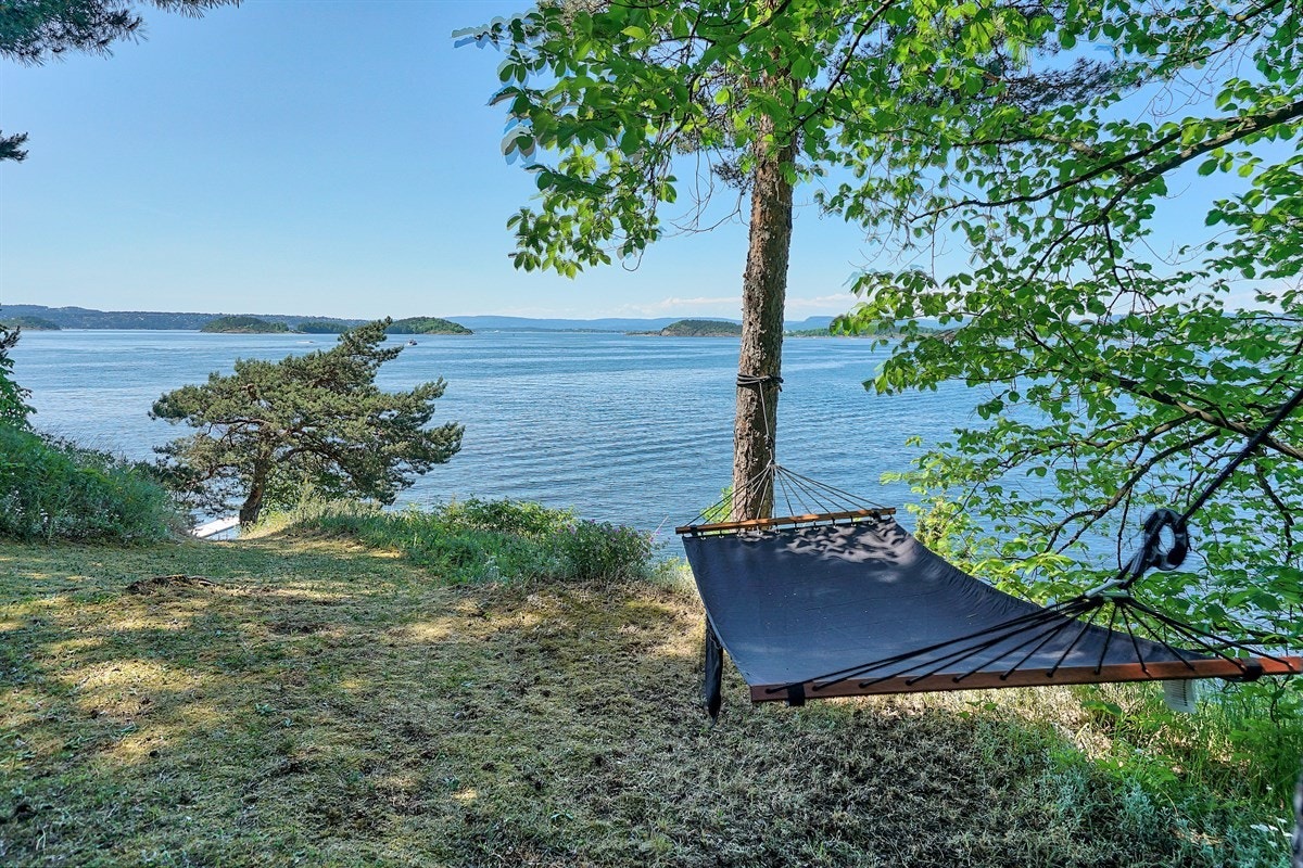 Her finner man roen Galleribilde