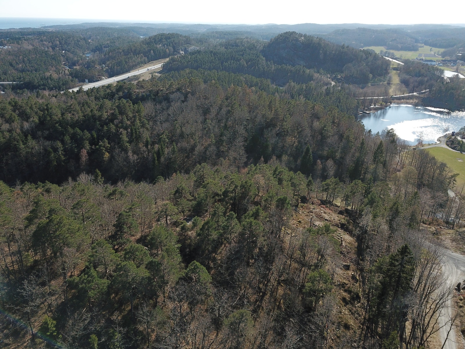 Bilde av tomten med Reddalsvannet til høyre og E18 til venstre i bakgrunnen. Galleribilde