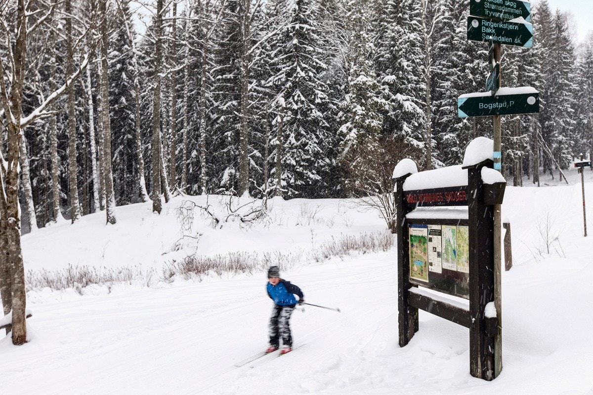 Fine turområder både sommer som vinter i området. Galleribilde