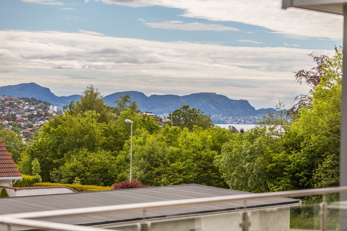 Utsikt ned mot sjøen. Galleribilde