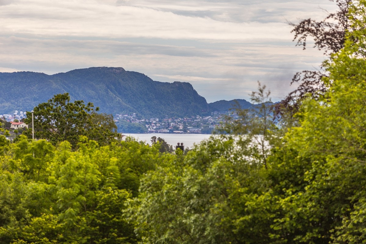 - Velkommen til visning i Morviklien 2 - Galleribilde