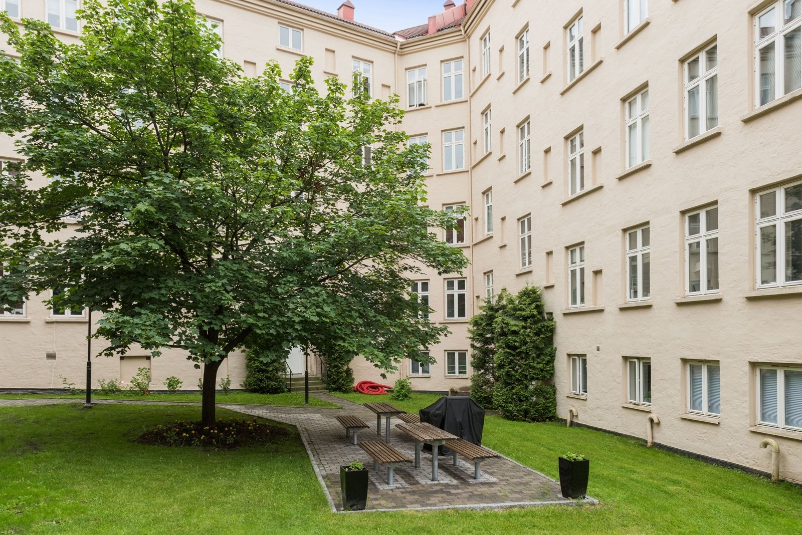 Pent og frodig fellesområde i bakgården. Galleribilde