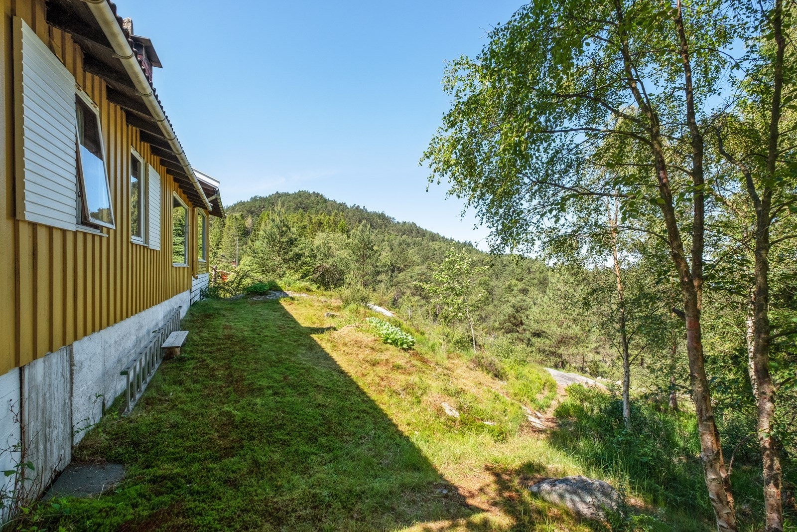 Fremsiden Galleribilde