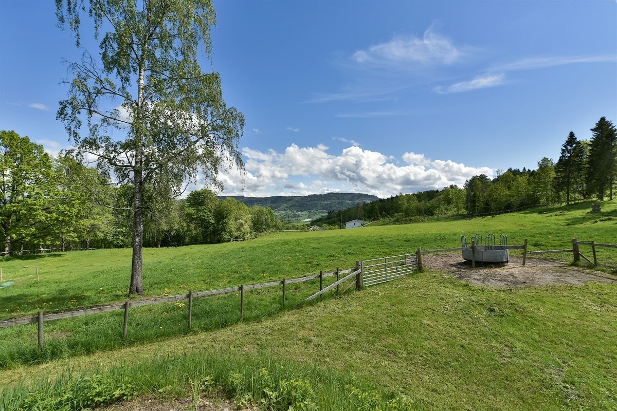 Dagligvarehandelen kan blant annet gjøres på Kiwi og Coop Extra. Ønsker du ytterligere servicetilbud er det kort vei til kommunesenteret Lierbyen og Sylling med et variert tilbud. Galleribilde