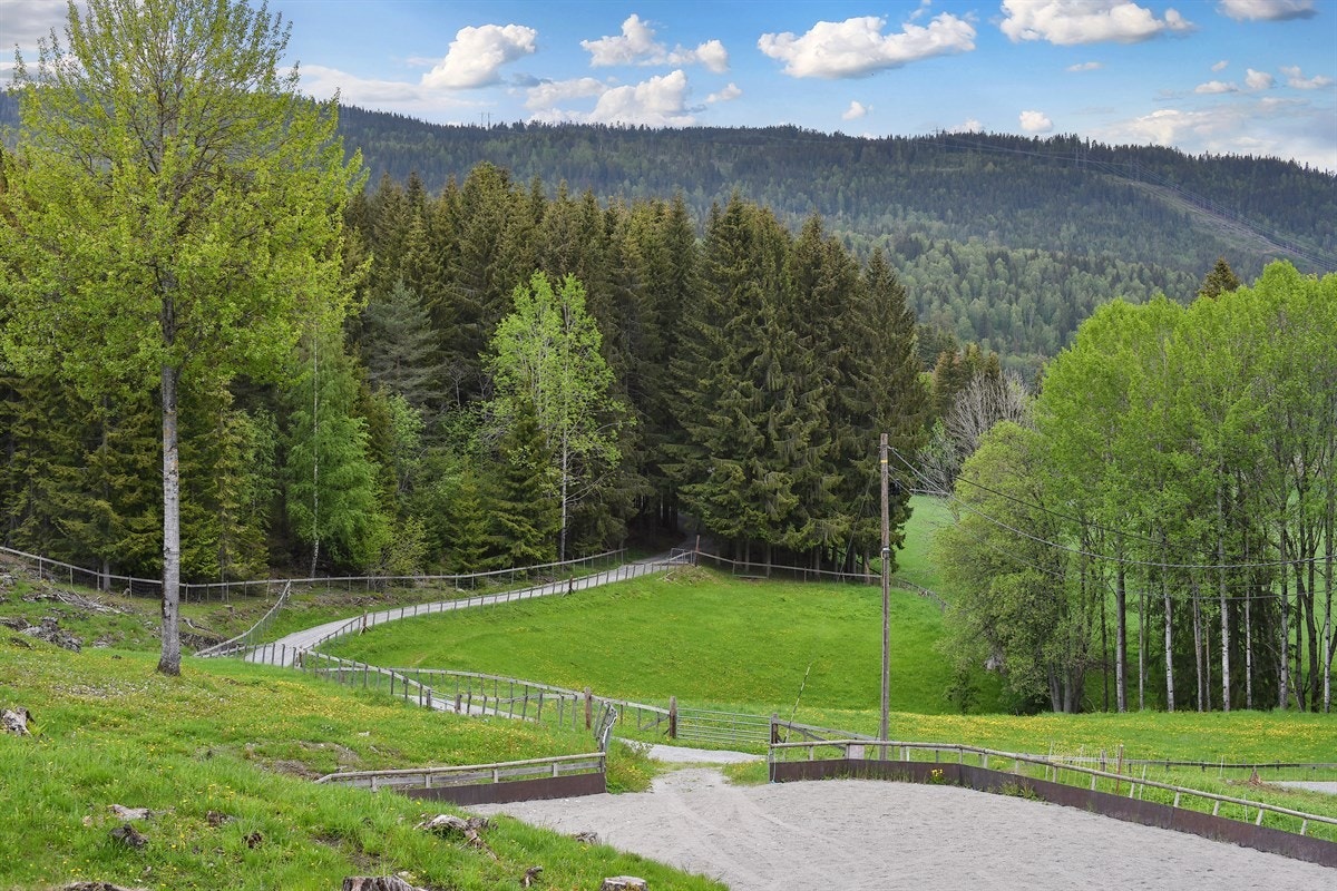 Ridebane. Galleribilde