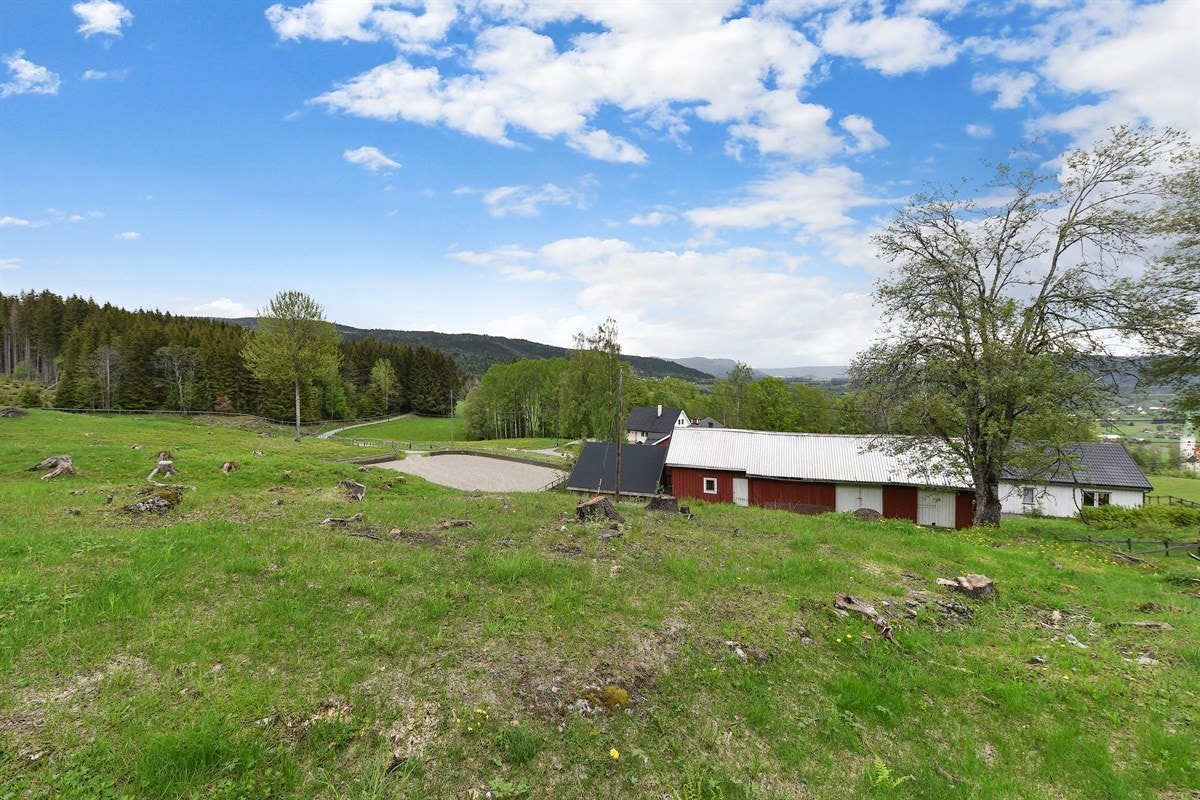 Ved Garsjø er det også villmarks-camp med lavvo, gapahuk og bålplass. Galleribilde