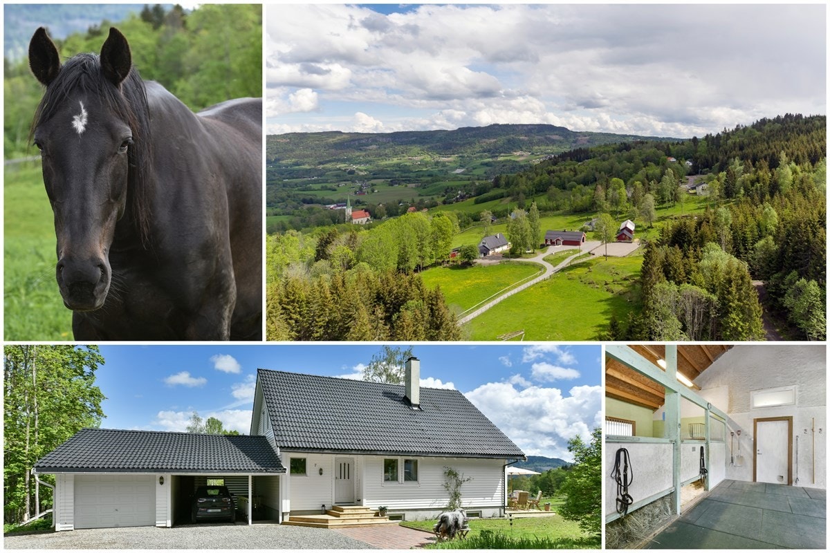 Velkommen til visning! Galleribilde