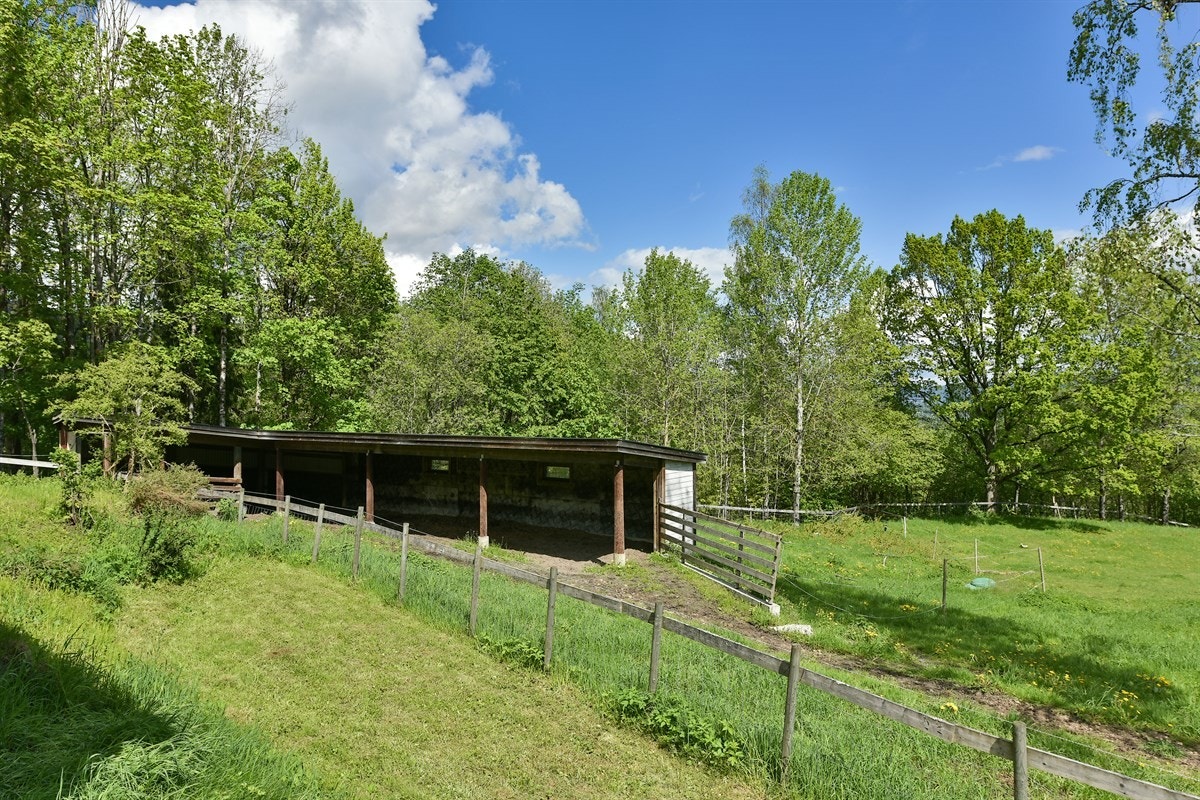 Fra eiendommen er det ca. 2,4 km til Oddevall barneskole. Galleribilde