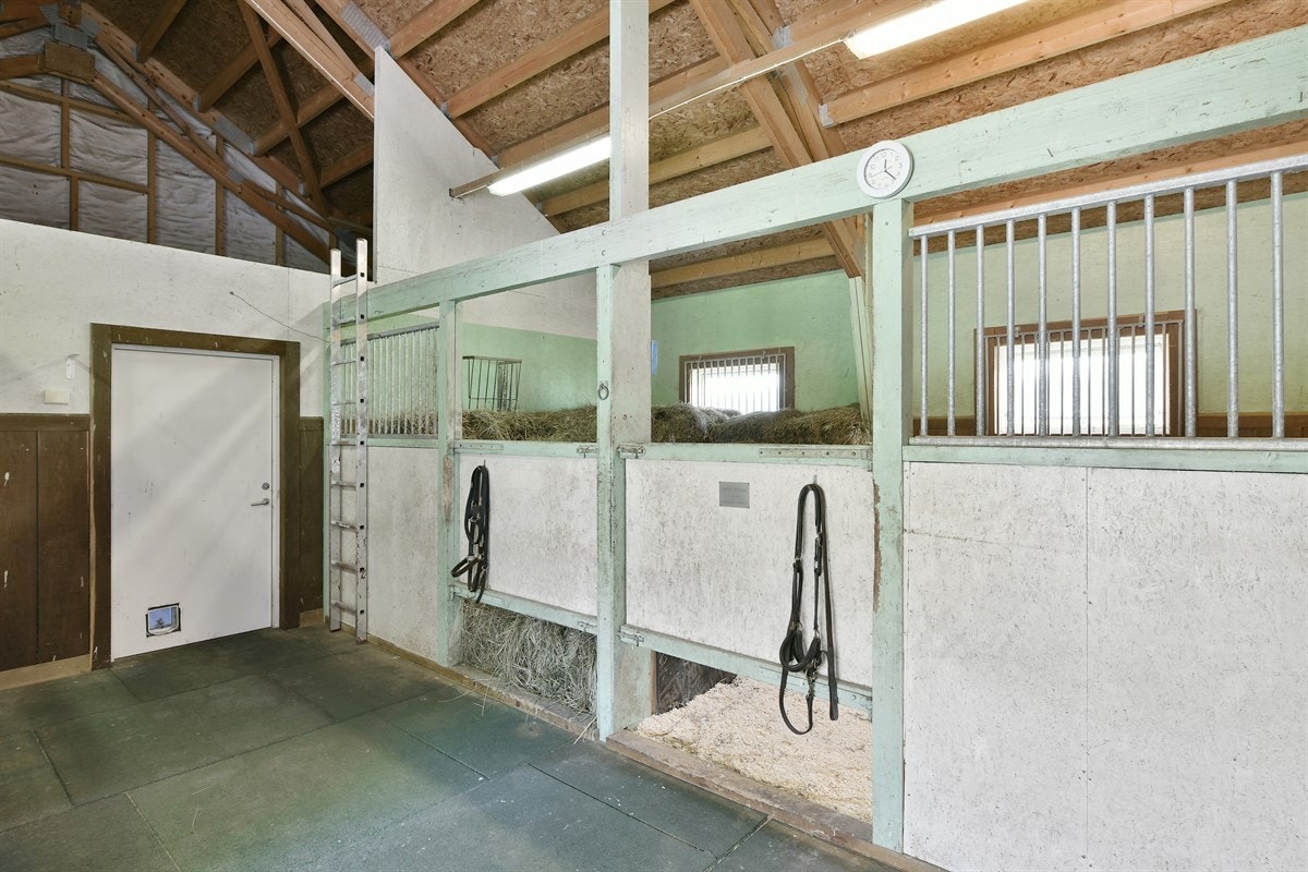 Stallen inneholder blant annet utstyrsrom, toalett, lager og buldrerom. Galleribilde
