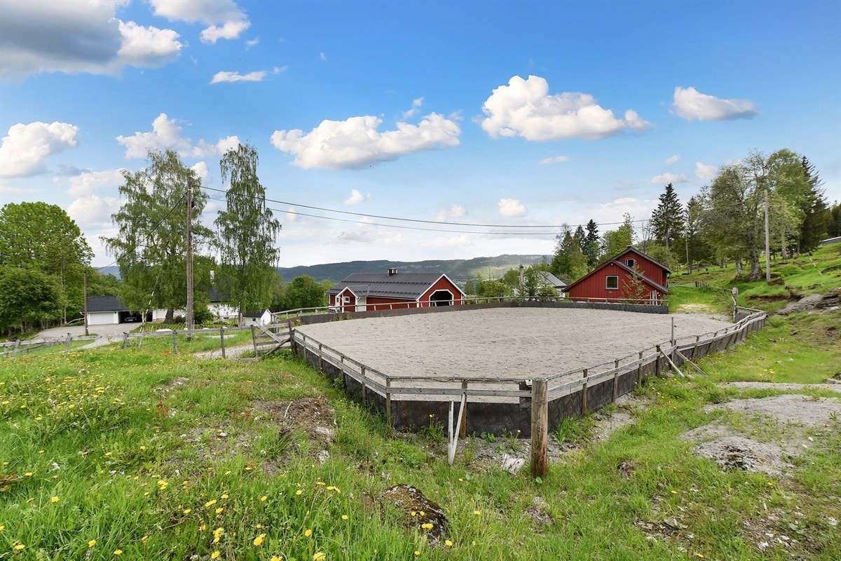 Ridebane. Galleribilde