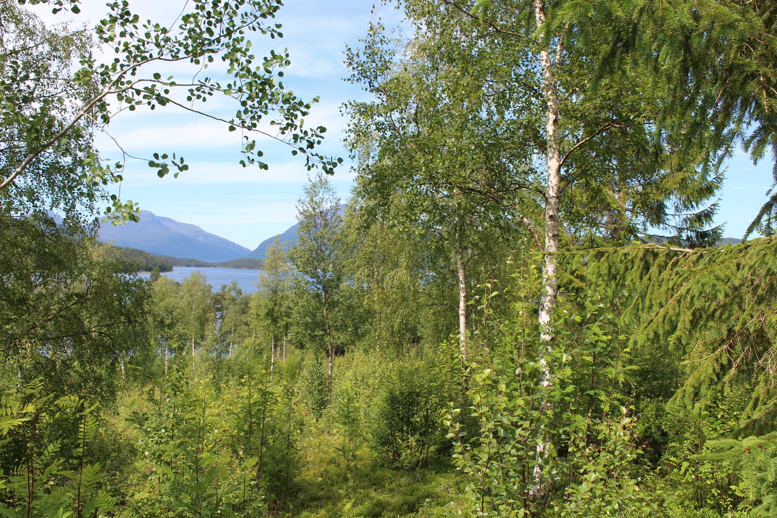 Bilder fra tomt 28 Galleribilde