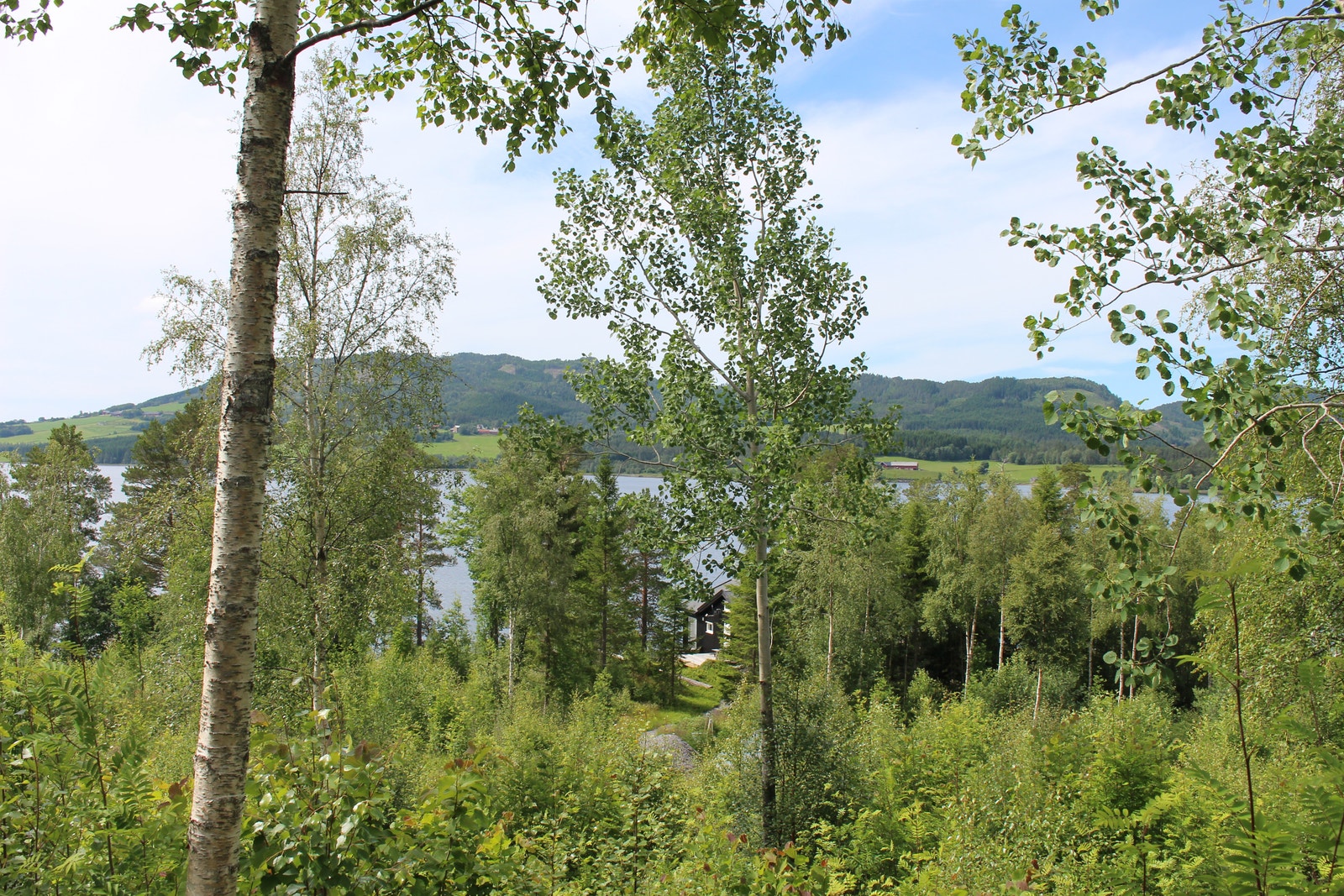 Bilder fra tomt 28 Galleribilde