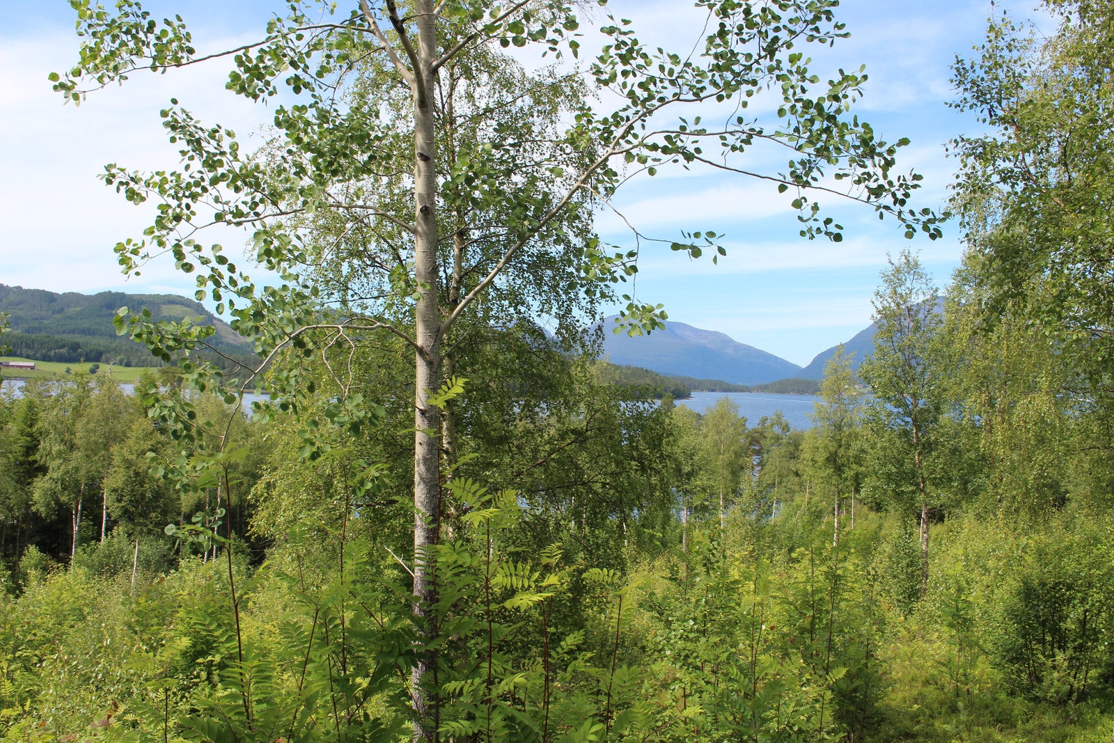 Bilder fra tomt 28 Galleribilde