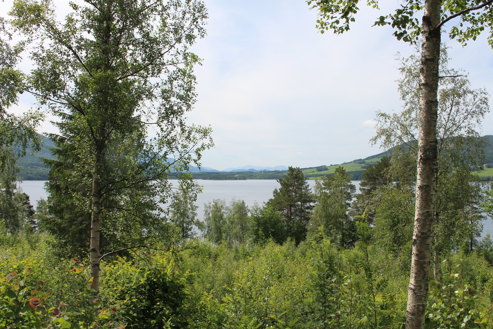 Bilder fra tomt 28 Galleribilde