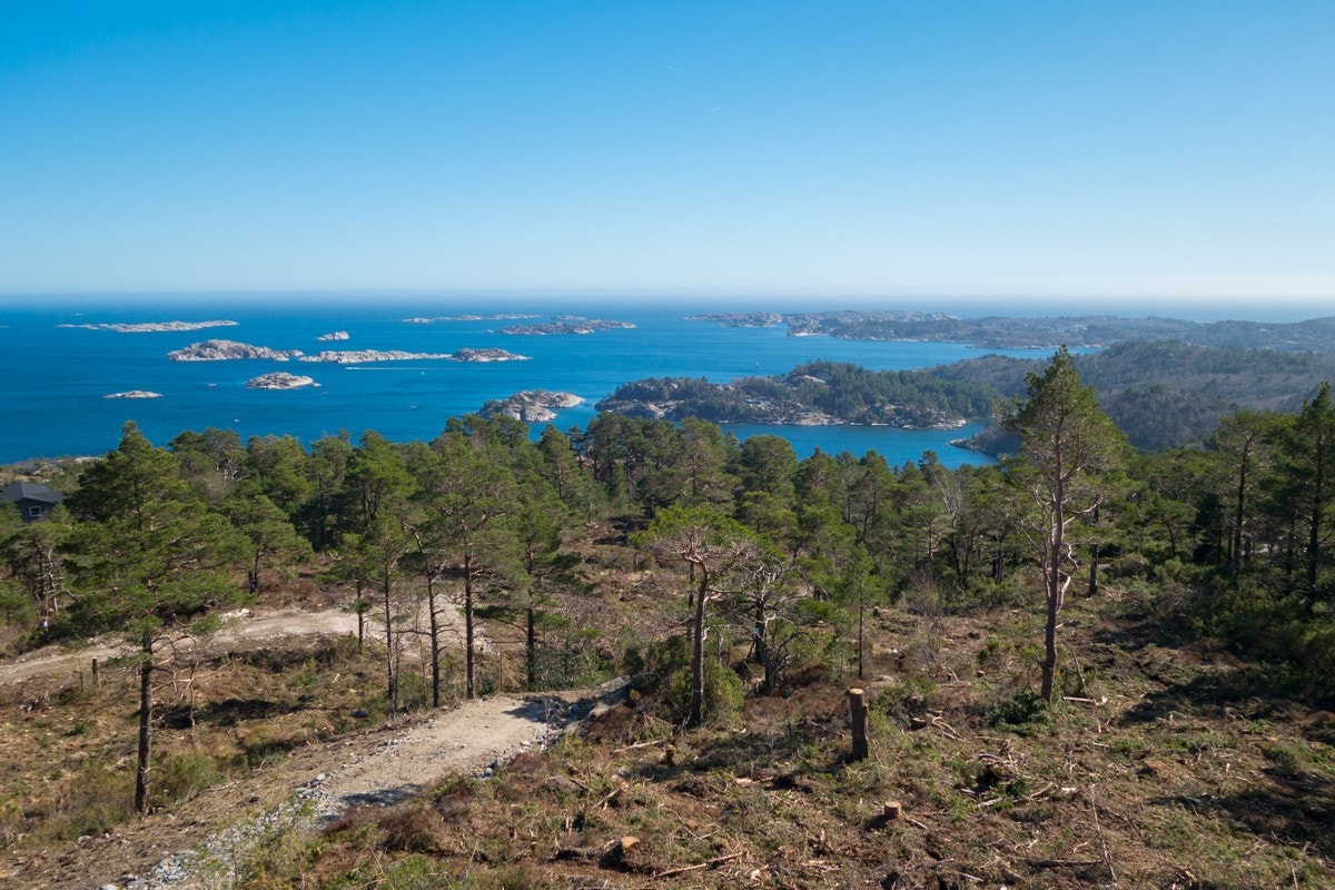Utsikt fra feltet Galleribilde