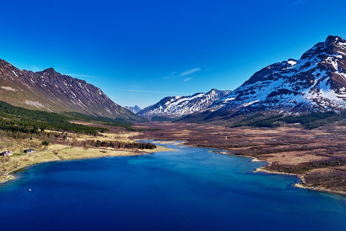 Området er kjent for flott jaktterreng for elg, og eiendommen har andel i elgvaldet. Galleribilde