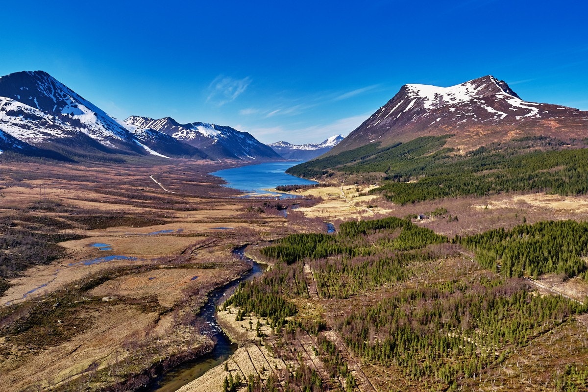 Eiendommen ligger skjermet til i naturskjønne omgivelser Galleribilde