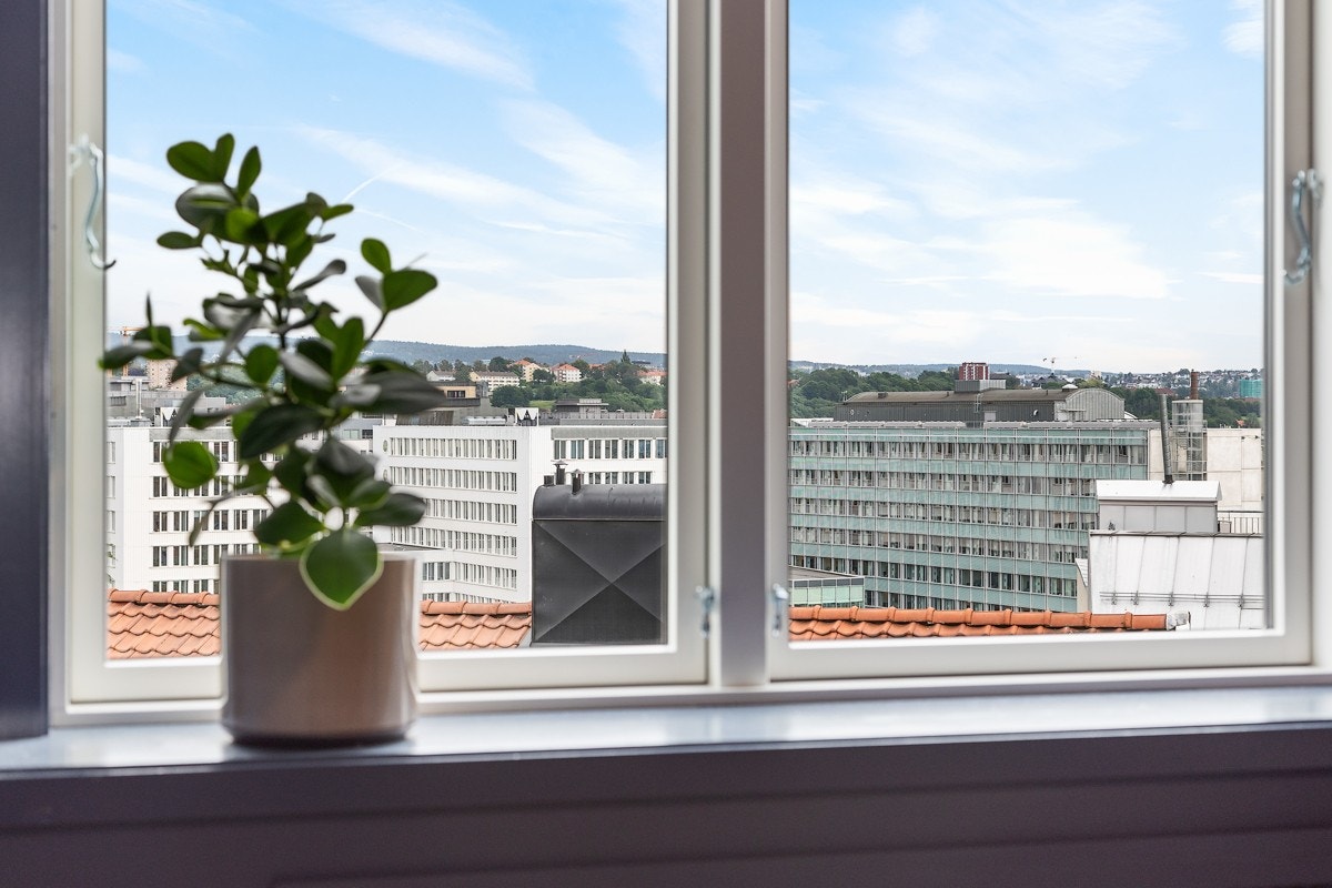 Utsikt. Galleribilde