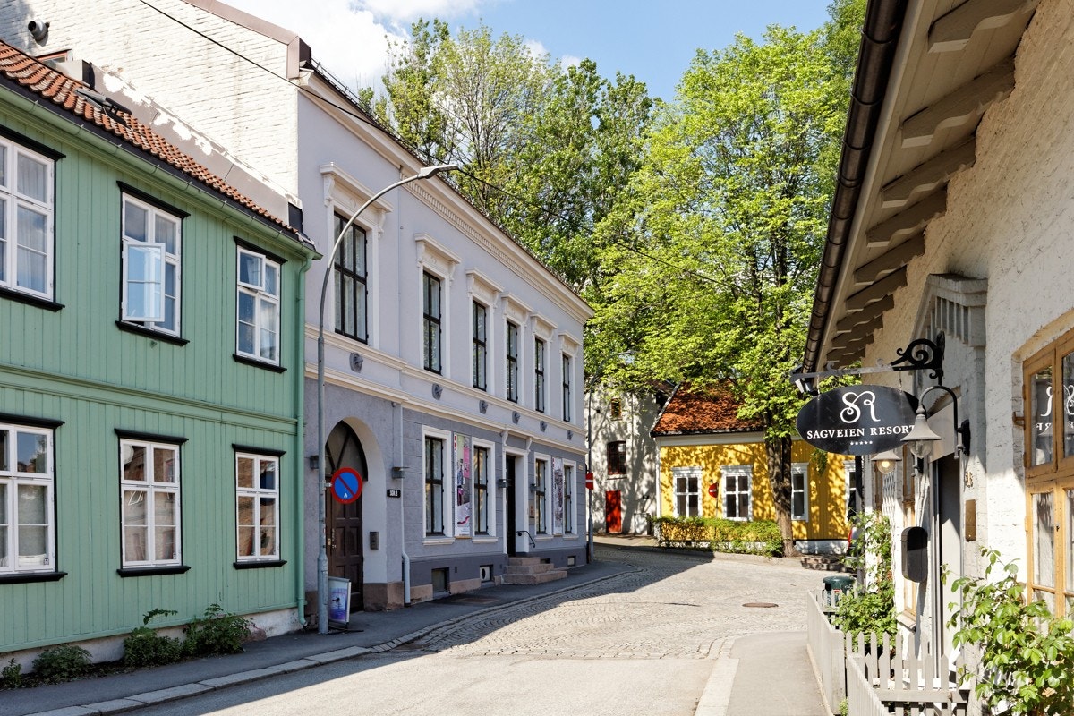 Nærområdet. Galleribilde
