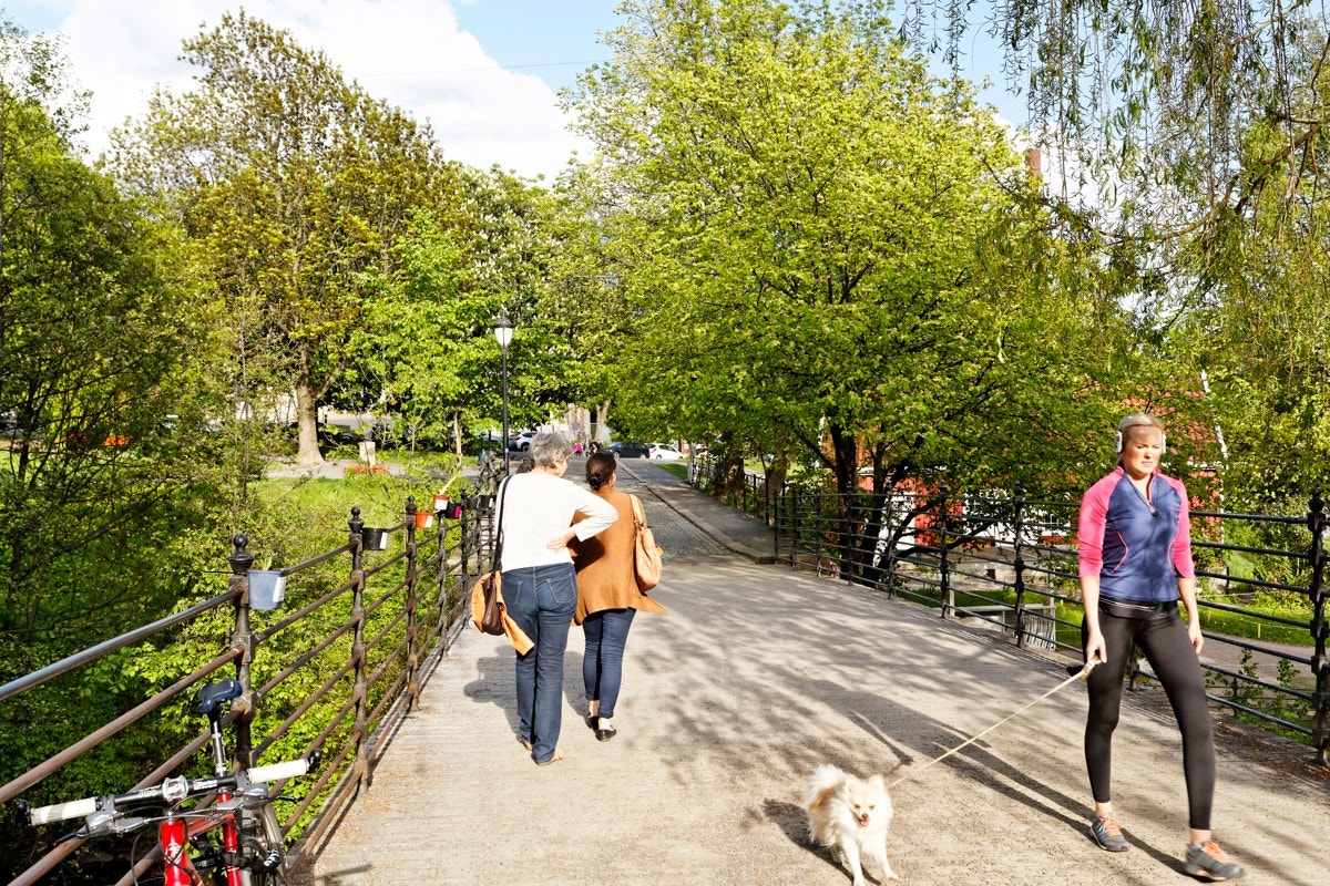 Nærområde - Akerselva. Galleribilde