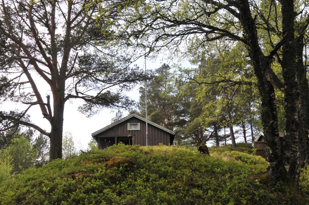 Sett mot sør Galleribilde