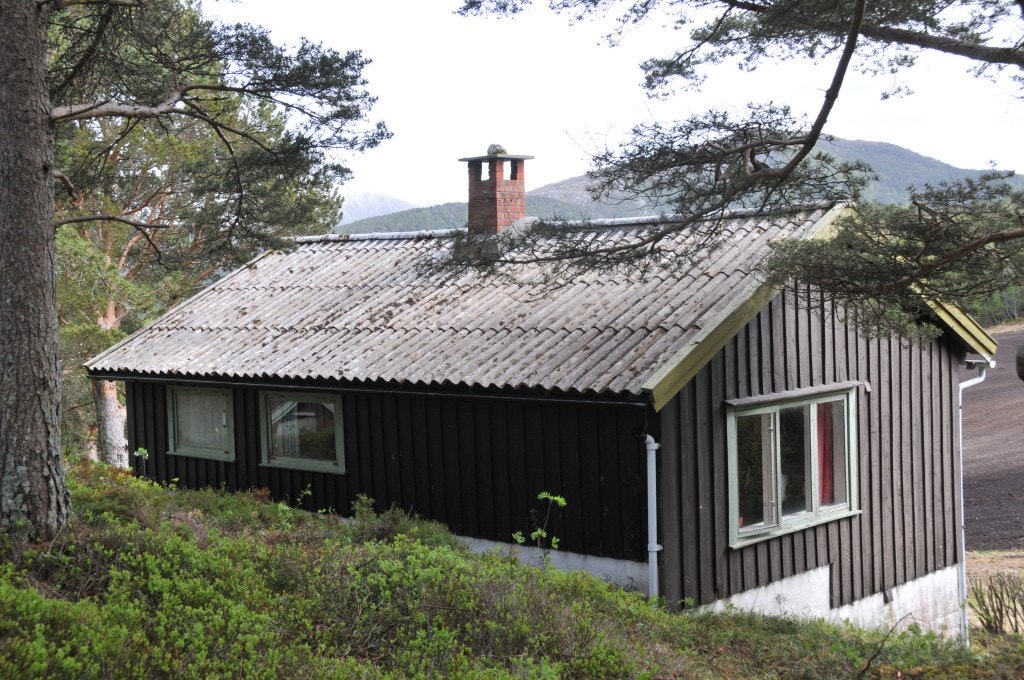 Vestvegg Galleribilde