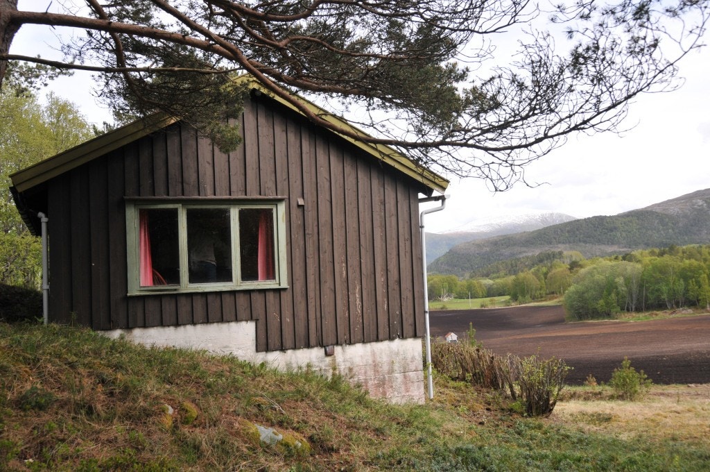 Sørvegg Galleribilde