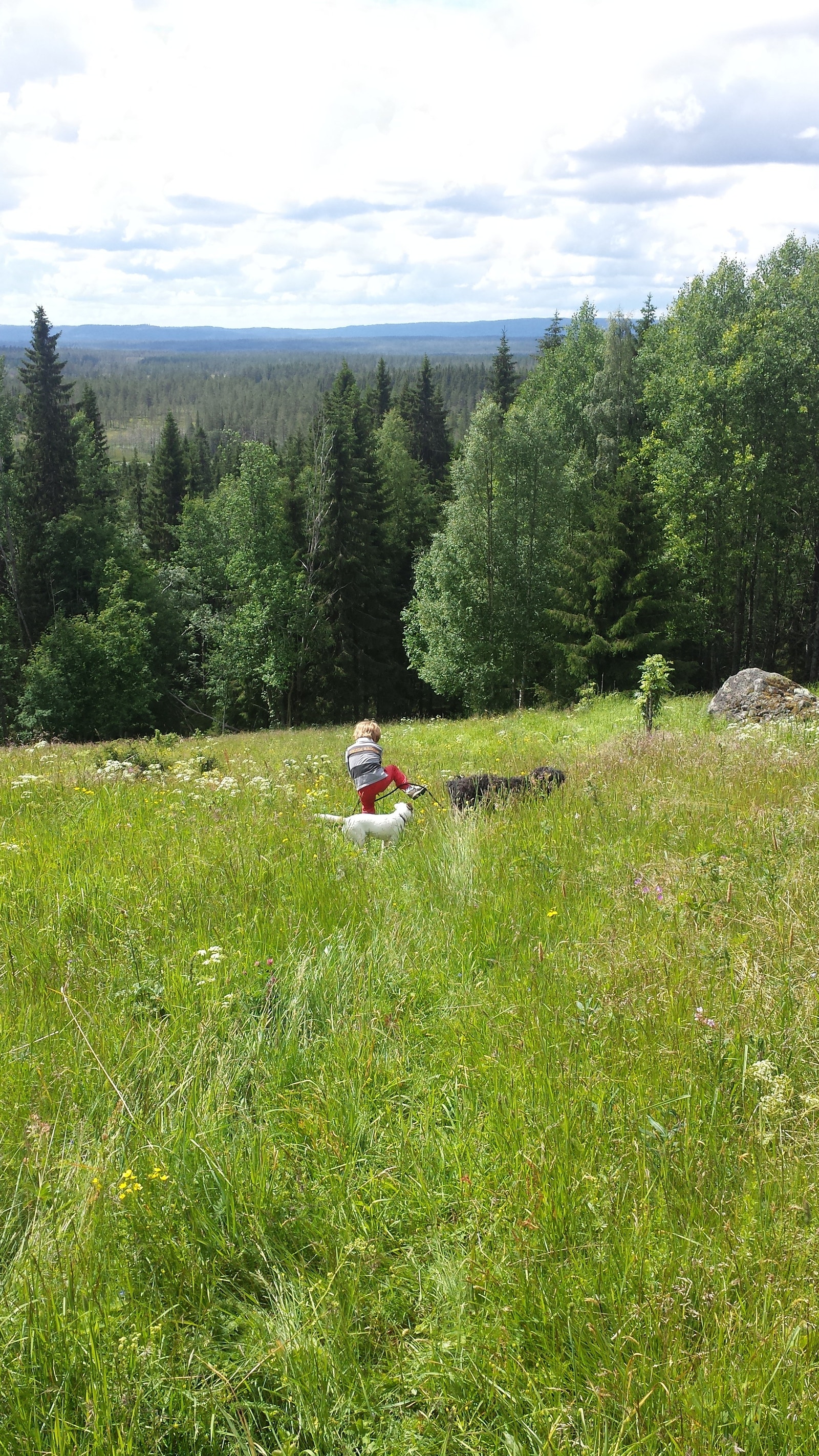 Tur i nærområdet til området rundt Håberget gård Galleribilde