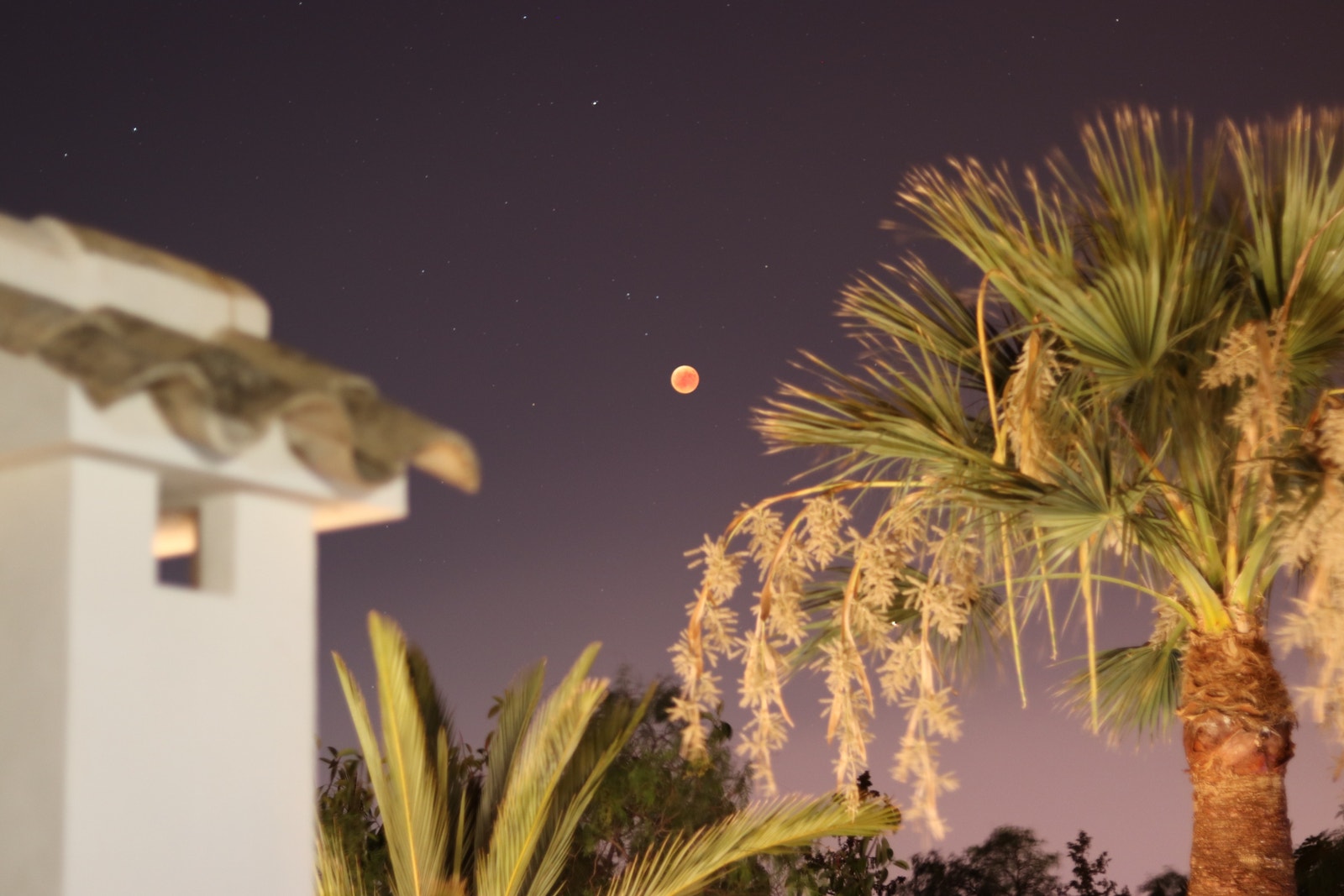 Månen fra takterrassen Galleribilde