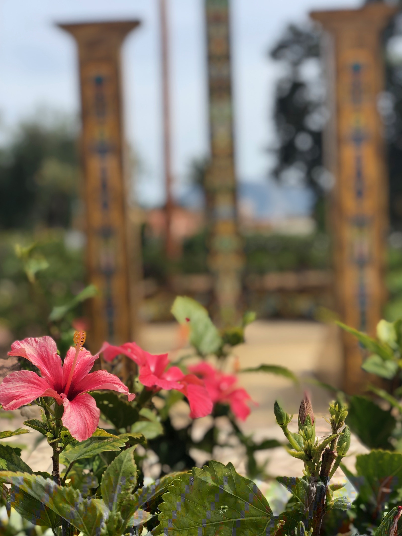 Blomstring foran et av monumentene Galleribilde