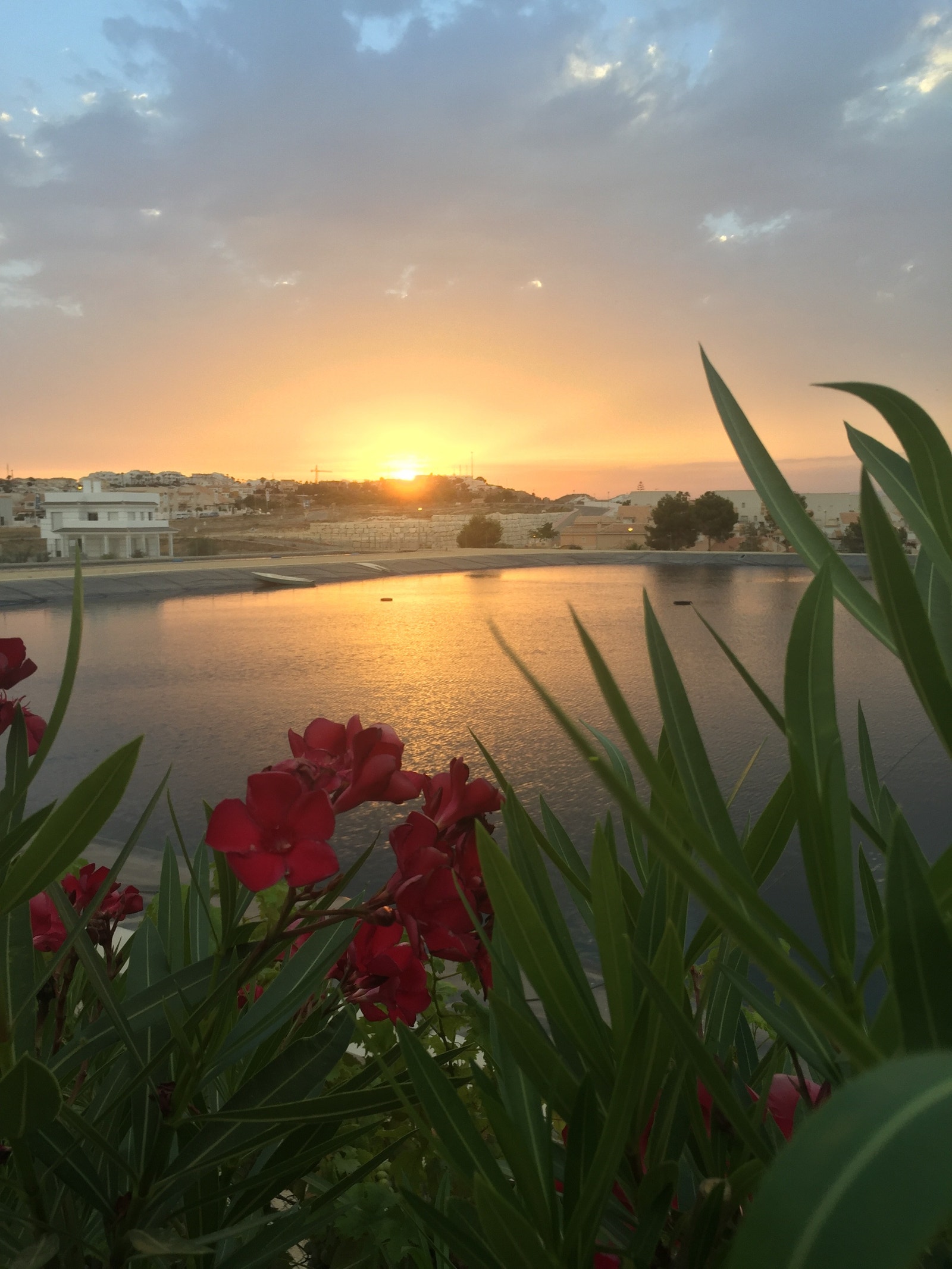 Solnedgang ved spiseplassen bak huset Galleribilde