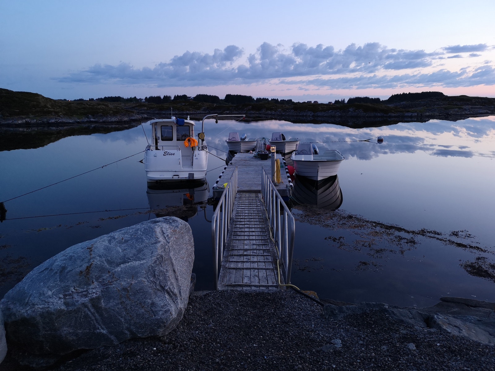 Tidlig junimorgen Galleribilde