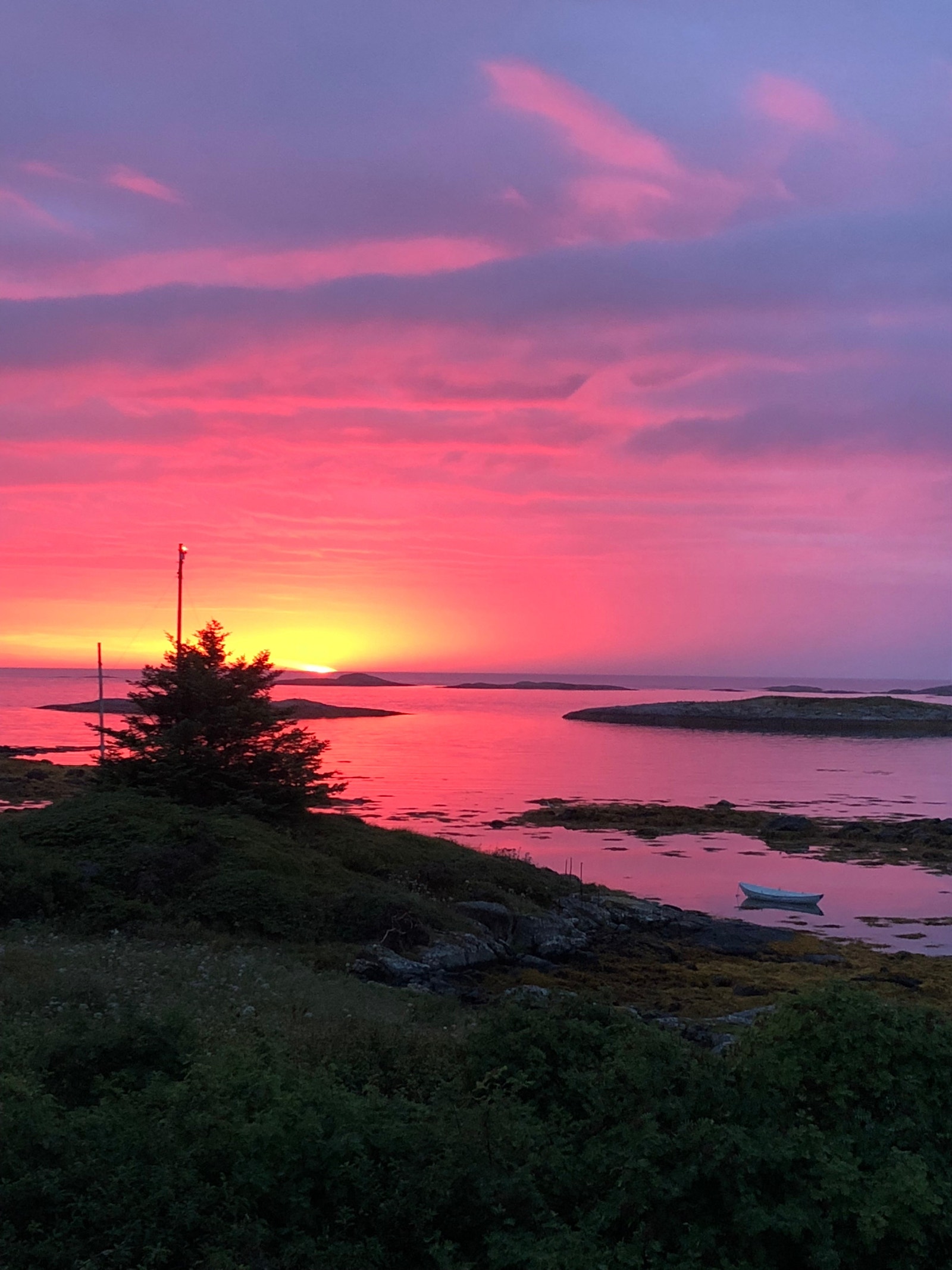 Utsikten Galleribilde