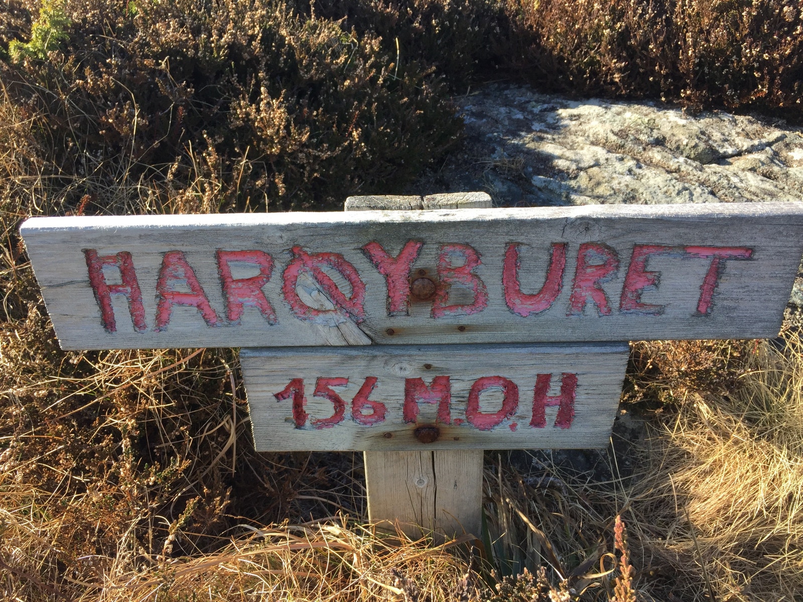 Fjelltur til Harøyburet er lett tilgjengelig 156 meter over havet Galleribilde