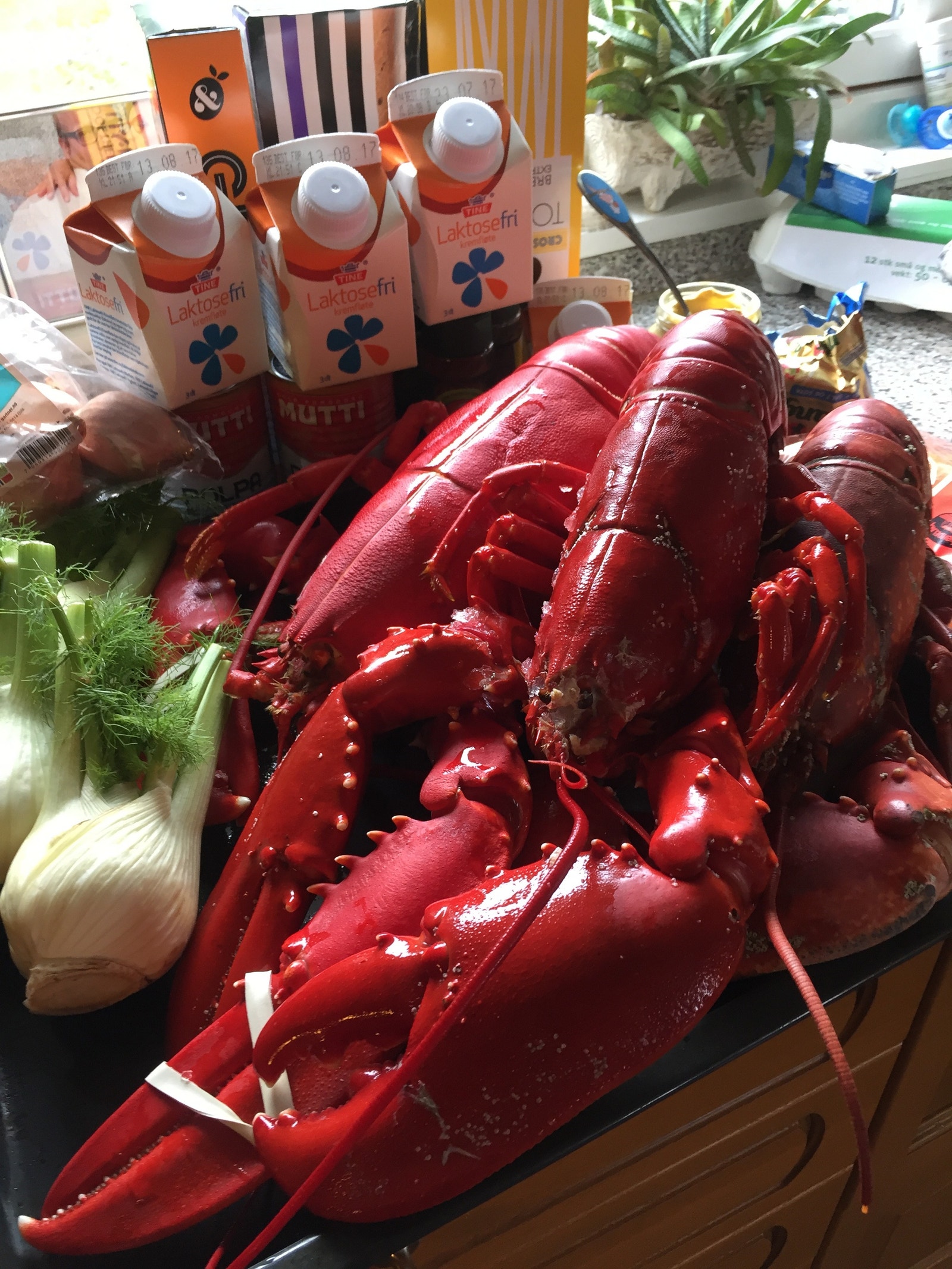 Havets delikatesser fra Finnøya Galleribilde