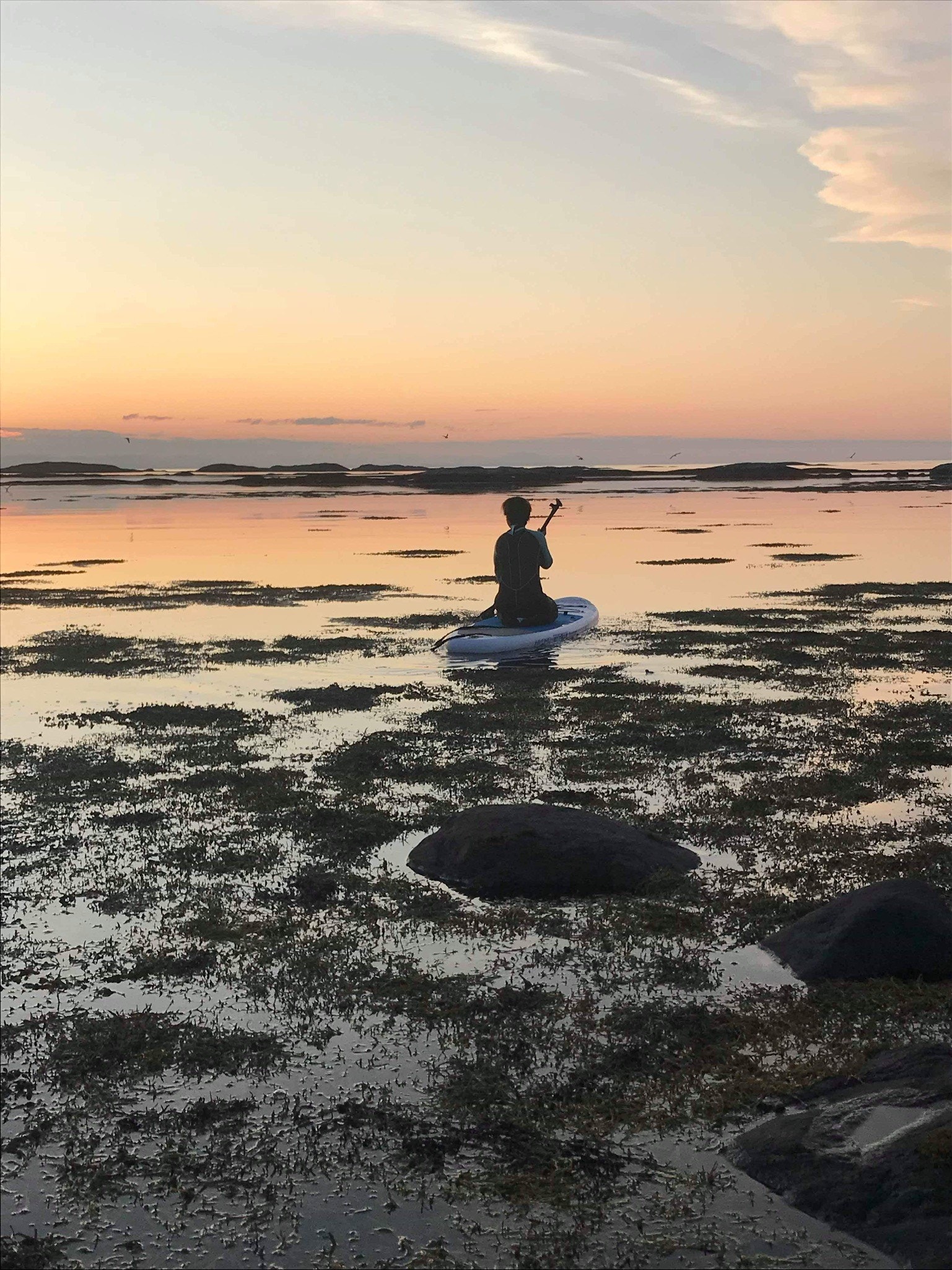 SUP i solnedgang Galleribilde