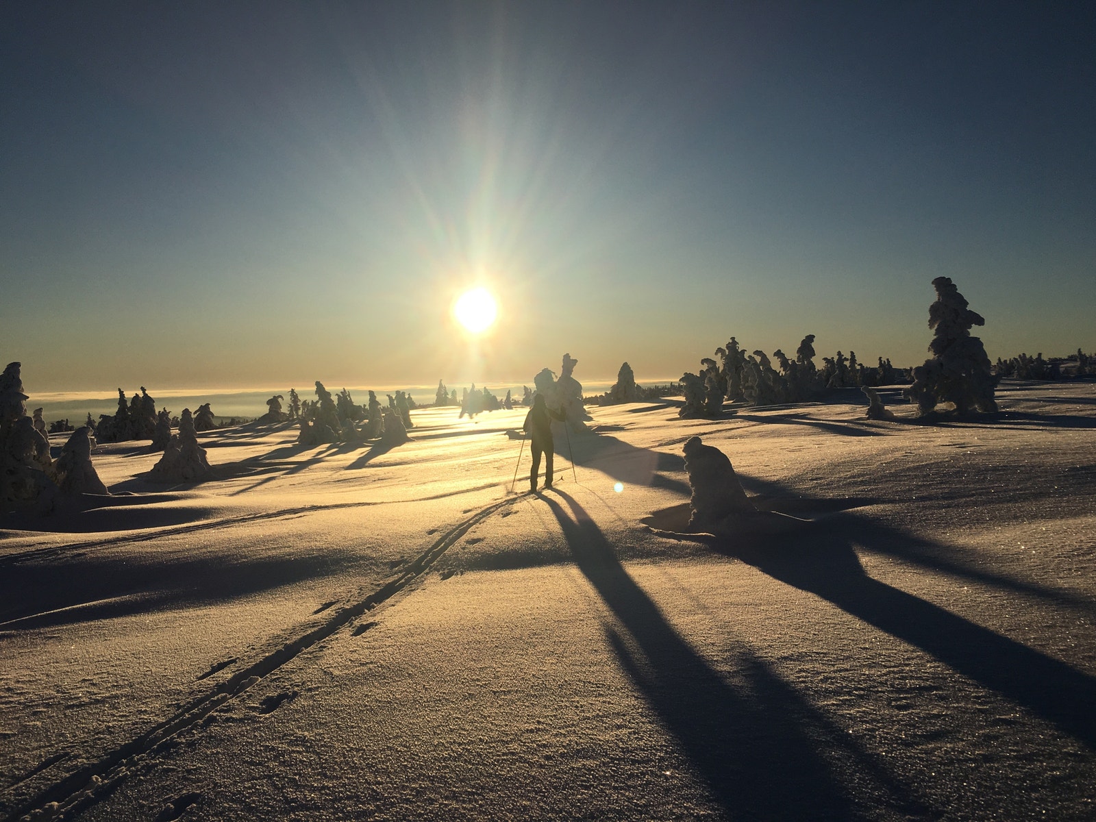 Lunkefjell 10 minutter på ski bak hytra Galleribilde