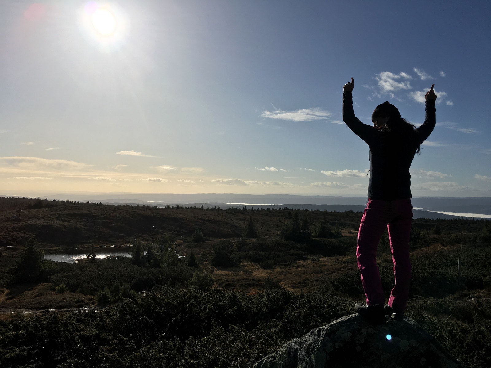 Sjusjøfjell 15 minutters gange fra hytta Galleribilde