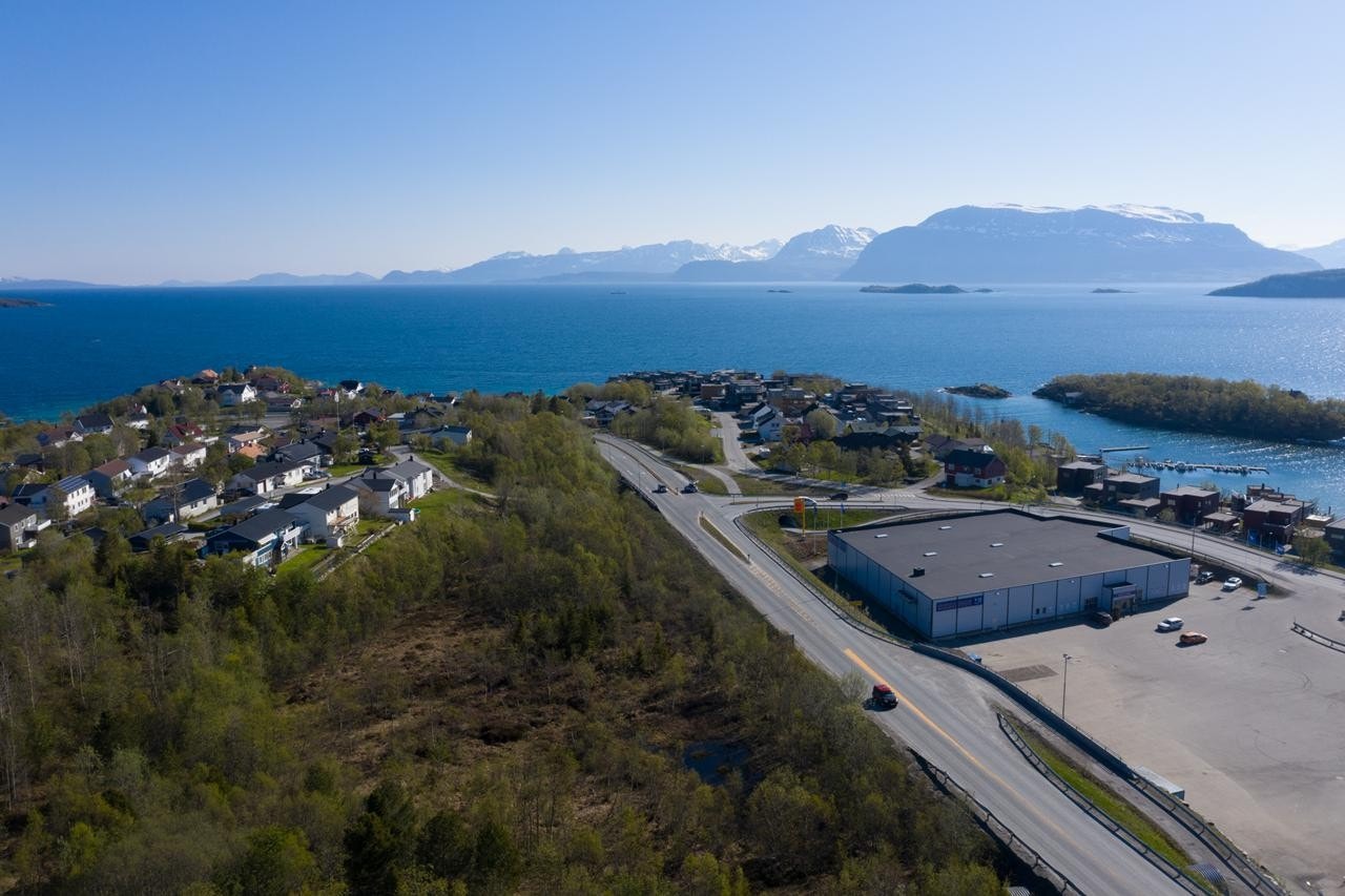 Eiendommene mot øst Galleribilde