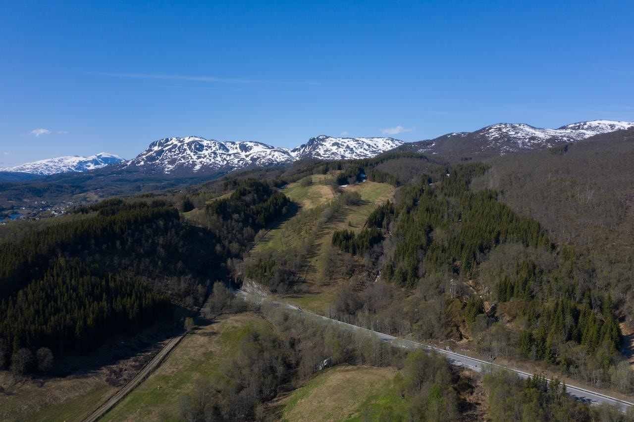 Eiendommene er ubebygde Galleribilde