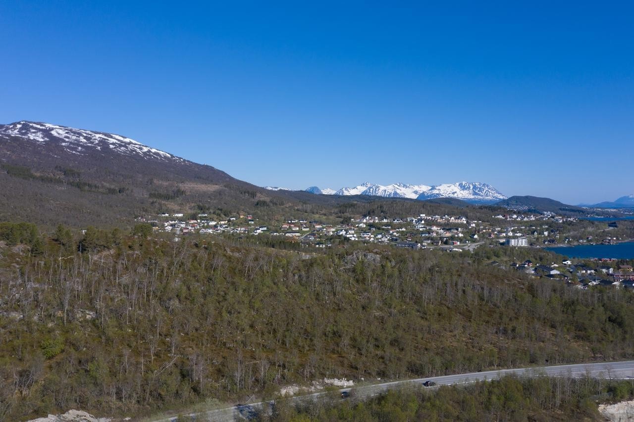 Eiendommene mot nord Galleribilde