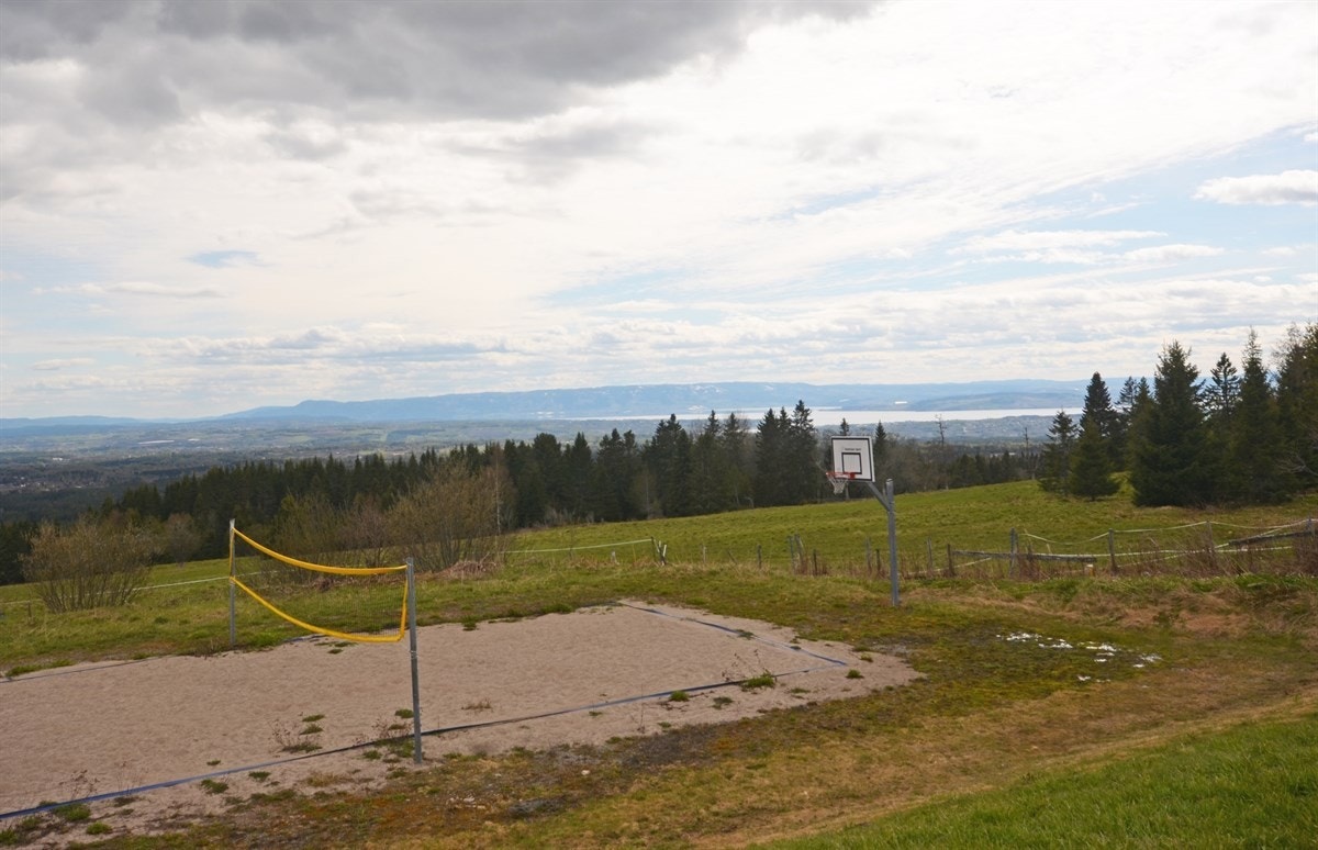 Spill volleyball i nydelig omgivelser. Galleribilde