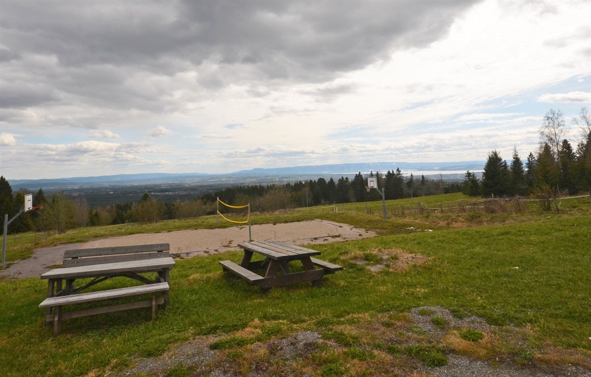 Stort uteområde med flere sittebenker. Galleribilde