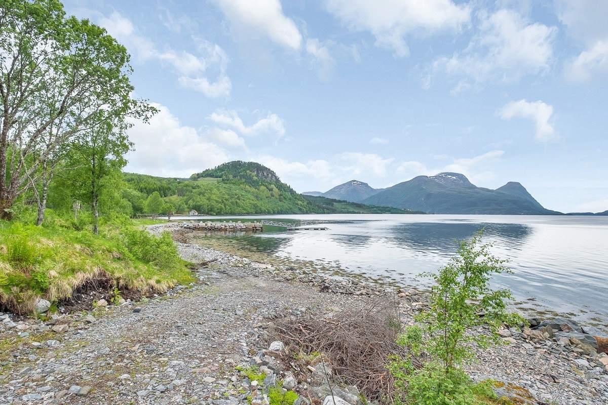 Nærområde Galleribilde