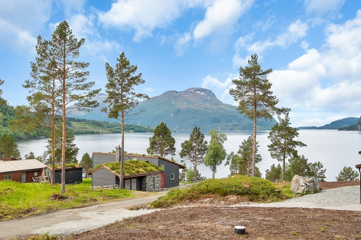 Fantastisk utsikt fra feltet Galleribilde