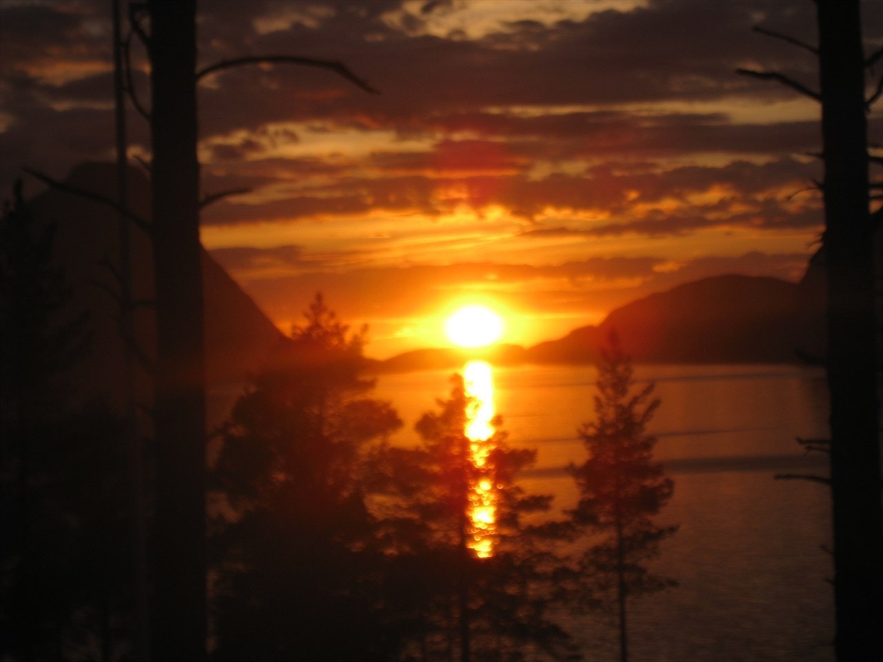 Solnedgang Galleribilde