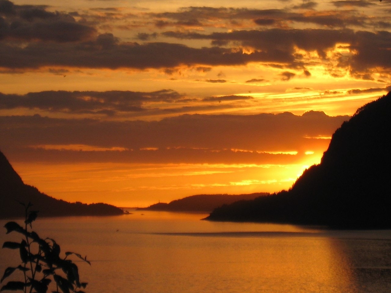 Solnedgang Galleribilde