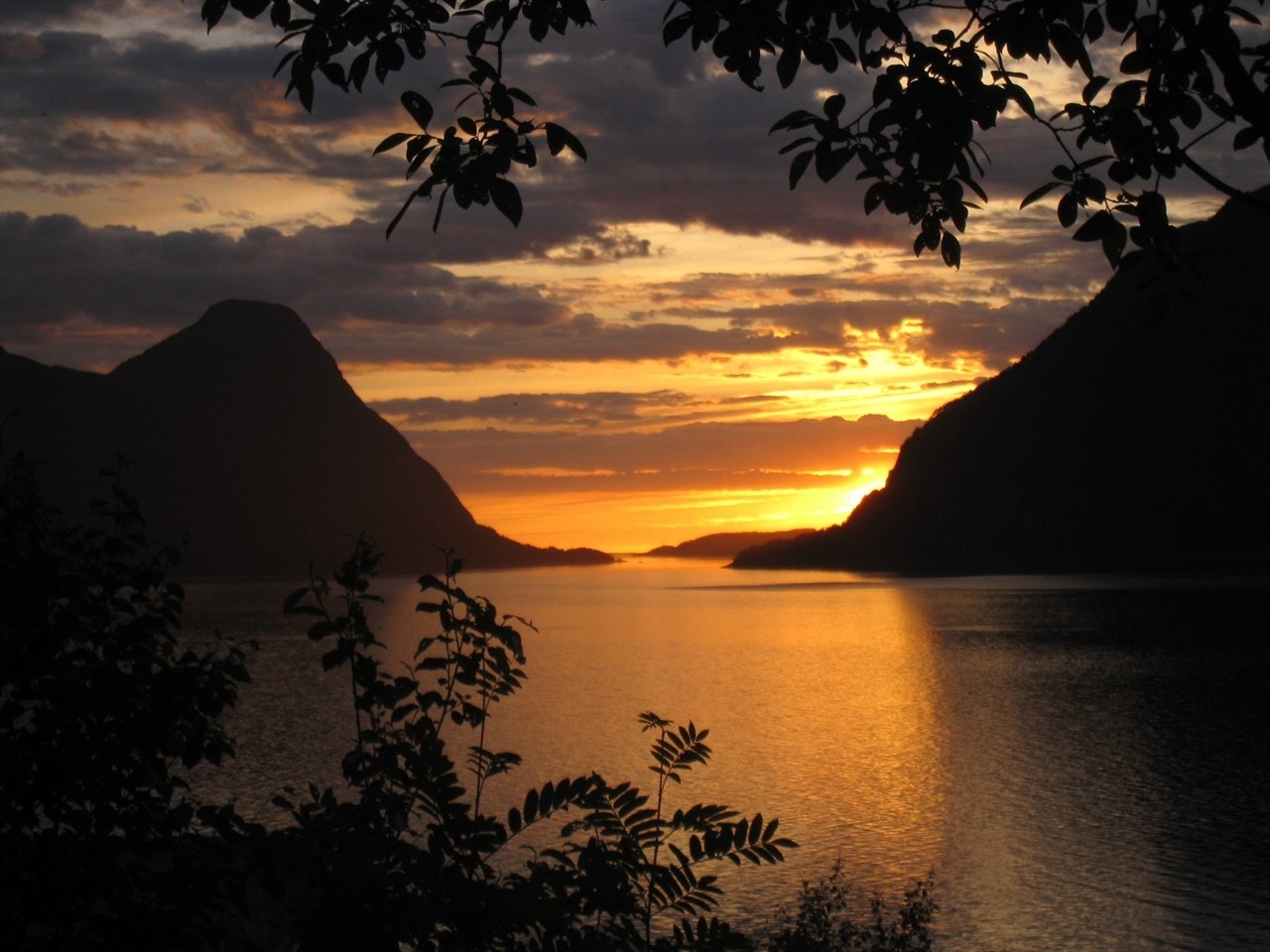 Solnedgang Galleribilde