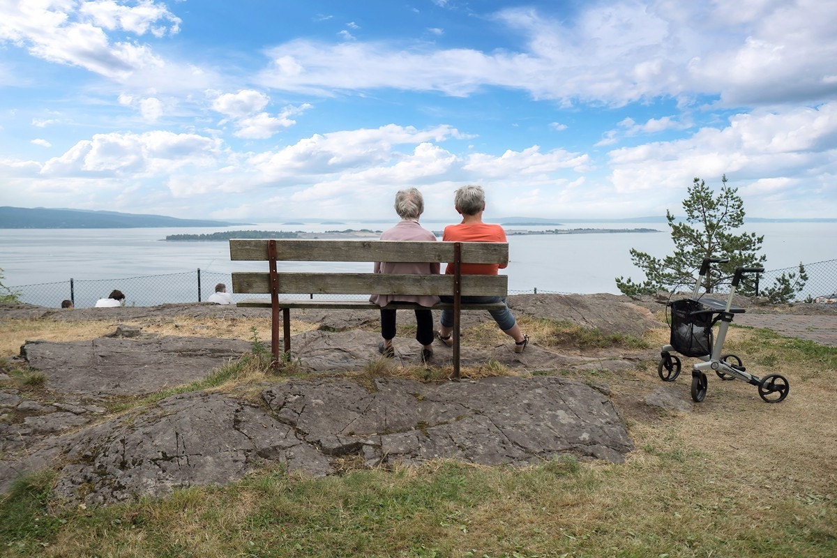 Utsiktspunktet Galleribilde