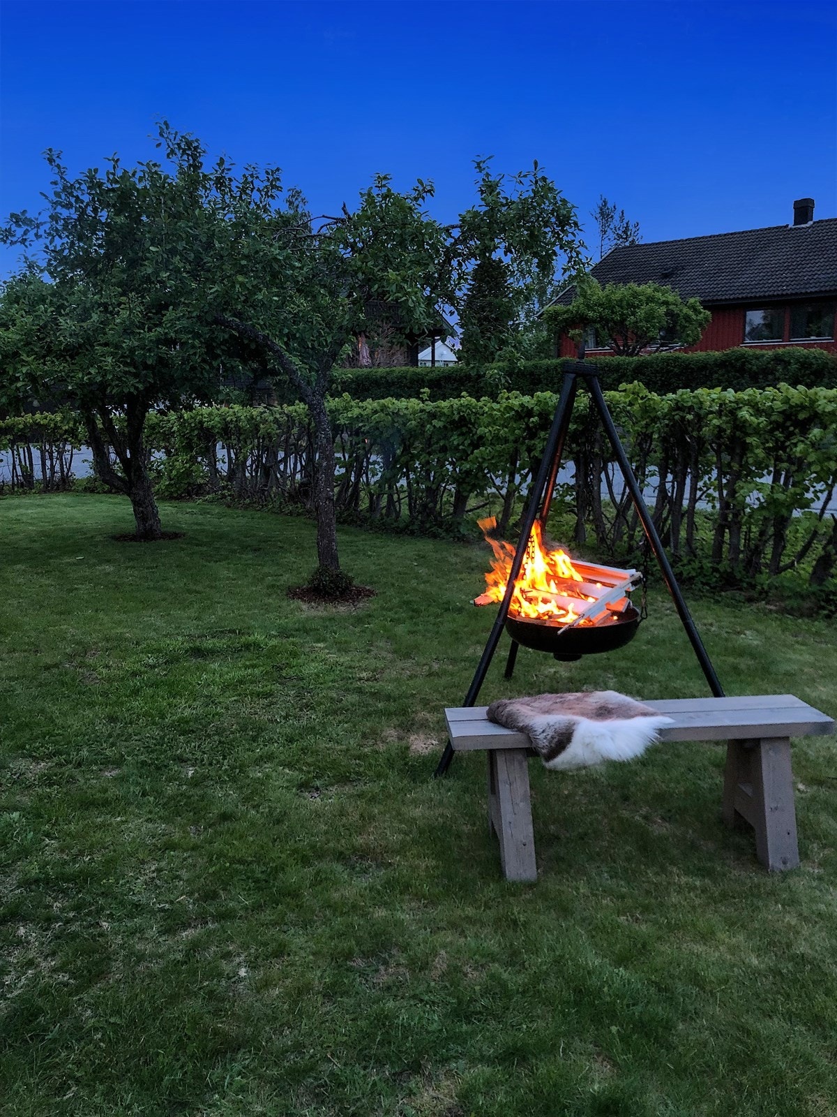Kveldsfoto. Galleribilde